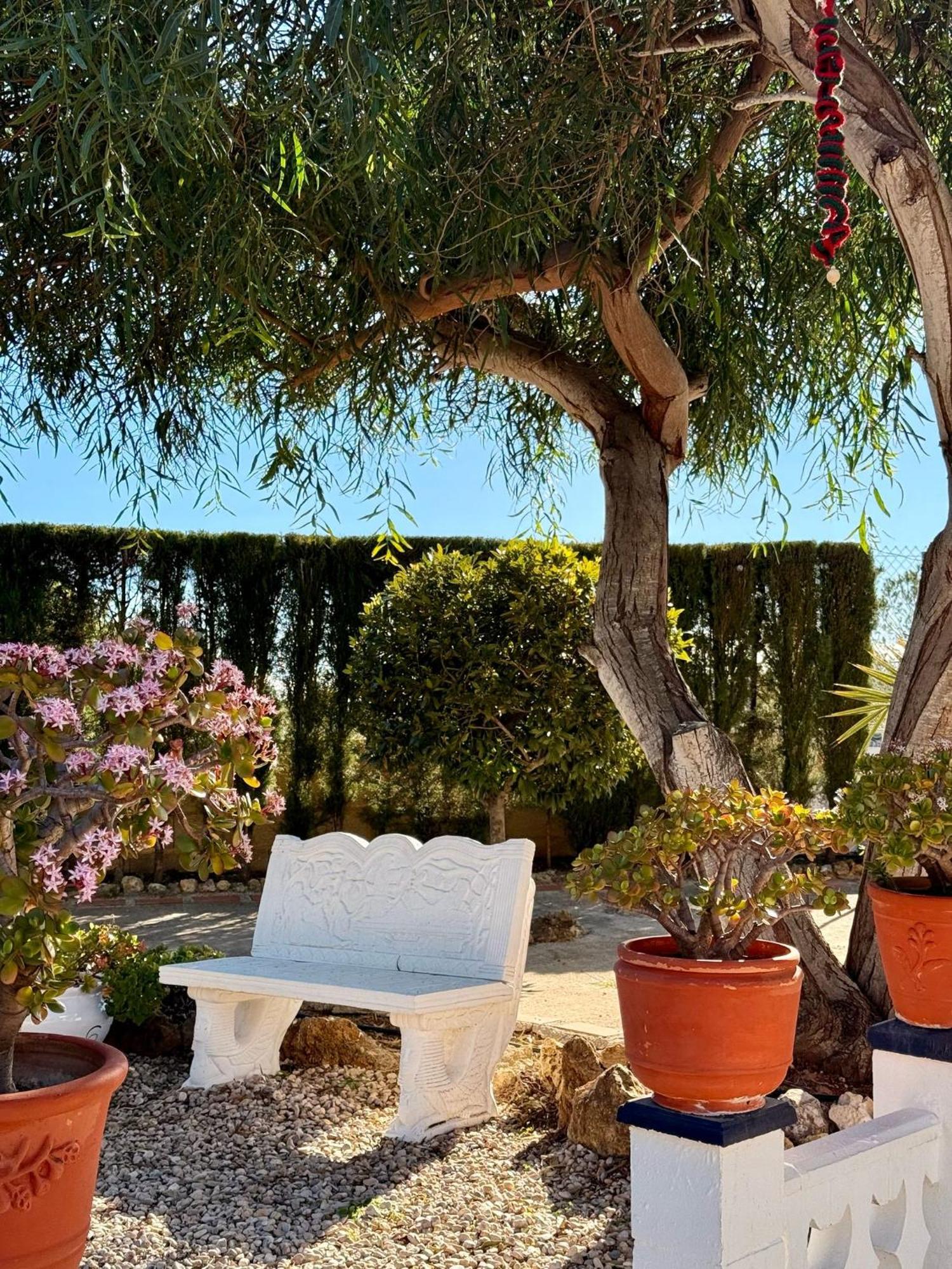 Finca Malata Turis Luaran gambar